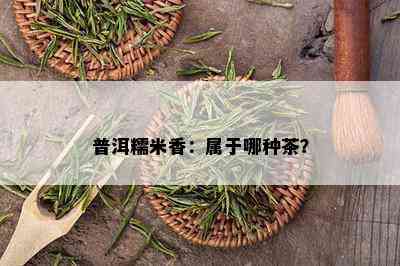 普洱糯米香：属于哪种茶？