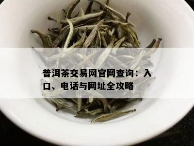 普洱茶交易网官网查询：入口、电话与网址全攻略