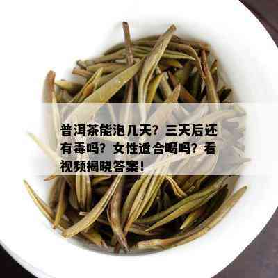 普洱茶能泡几天？三天后还有吗？女性适合喝吗？看视频揭晓答案！