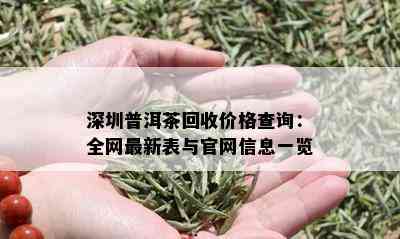 深圳普洱茶回收价格查询：全网最新表与官网信息一览