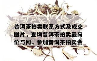 普洱茶拍卖联系方式及成交图片，查询普洱茶拍卖更高价与网，参加普洱茶拍卖会