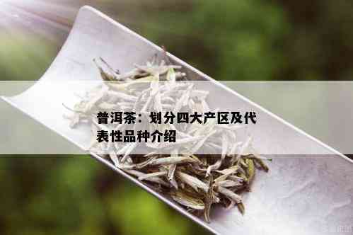 普洱茶：划分四大产区及代表性品种介绍