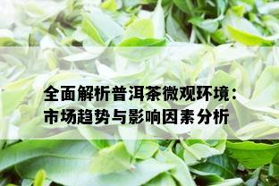 全面解析普洱茶微观环境：市场趋势与影响因素分析