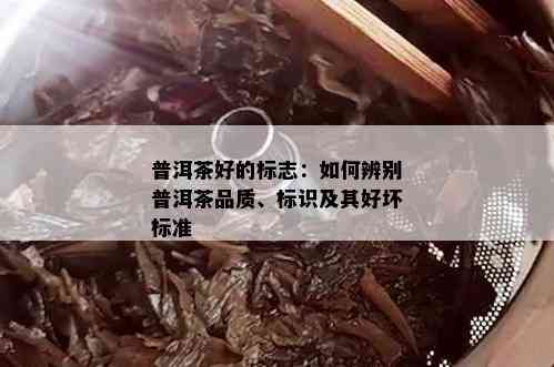 普洱茶好的标志：如何辨别普洱茶品质、标识及其好坏标准