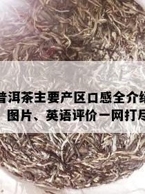 普洱茶主要产区口感全介绍：图片、英语评价一网打尽