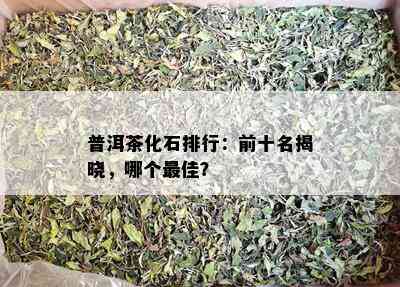 普洱茶化石排行：前十名揭晓，哪个更佳？