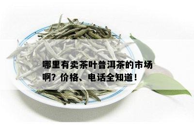 哪里有卖茶叶普洱茶的市场啊？价格、电话全知道！