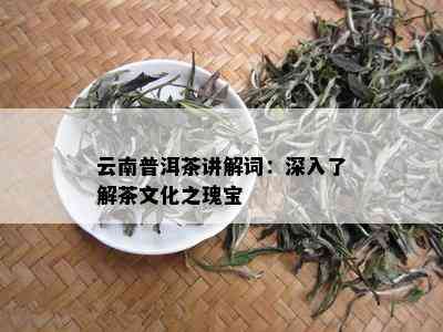 云南普洱茶讲解词：深入了解茶文化之瑰宝