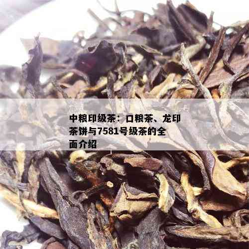 中粮印级茶：口粮茶、龙印茶饼与7581号级茶的全面介绍