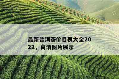 最新普洱茶价目表大全2022，高清图片展示