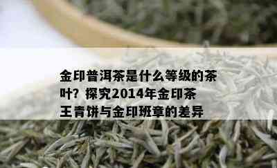 金印普洱茶是什么等级的茶叶？探究2014年金印茶王青饼与金印班章的差异