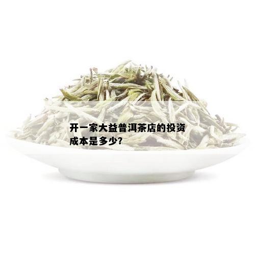 开一家大益普洱茶店的投资成本是多少？