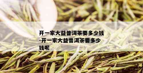 开一家大益普洱茶要多少钱-开一家大益普洱茶要多少钱呢