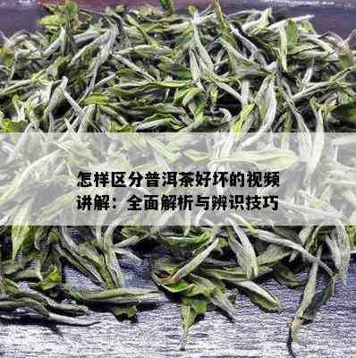 怎样区分普洱茶好坏的视频讲解：全面解析与辨识技巧