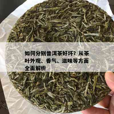 如何分别普洱茶好坏？从茶叶外观、香气、滋味等方面全面解析