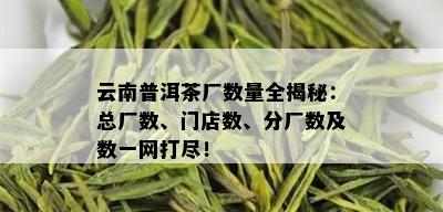 云南普洱茶厂数量全揭秘：总厂数、门店数、分厂数及数一网打尽！