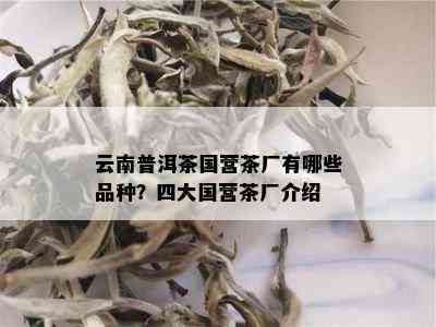 云南普洱茶国营茶厂有哪些品种？四大国营茶厂介绍