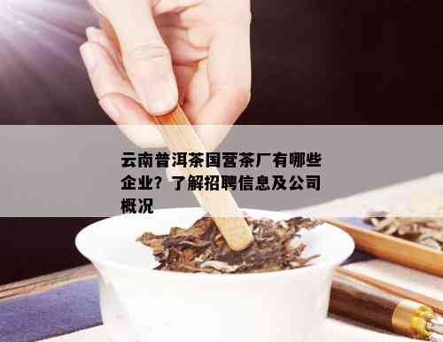 云南普洱茶国营茶厂有哪些企业？了解招聘信息及公司概况