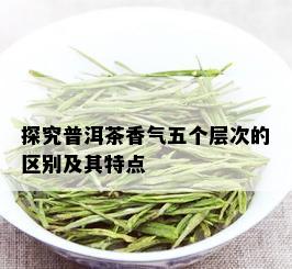 探究普洱茶香气五个层次的区别及其特点