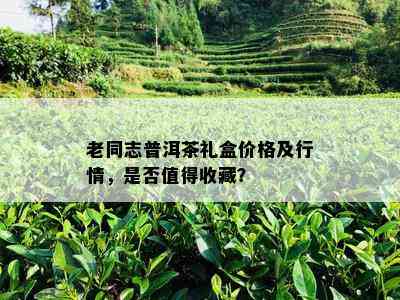 老同志普洱茶礼盒价格及行情，是否值得收藏？