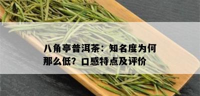 八角亭普洱茶：知名度为何那么低？口感特点及评价