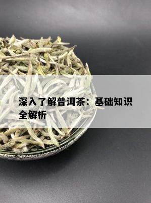 深入了解普洱茶：基础知识全解析