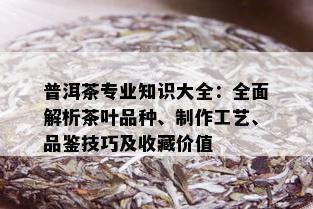 普洱茶专业知识大全：全面解析茶叶品种、制作工艺、品鉴技巧及收藏价值