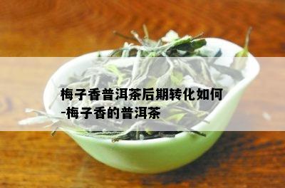 梅子香普洱茶后期转化如何-梅子香的普洱茶