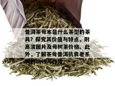 普洱茶母本是什么茶型的茶具？探究其价值与特点，附高清图片及母树茶价格。此外，了解茶母普洱抗衰老系列的功效与作用。