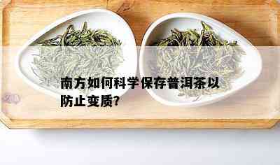 南方如何科学保存普洱茶以防止变质？