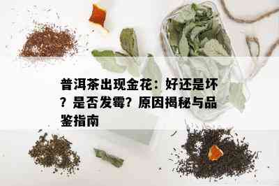 普洱茶出现金花：好还是坏？是否发霉？原因揭秘与品鉴指南