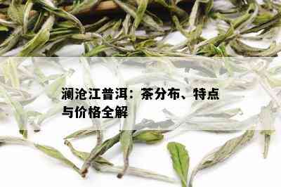 澜沧江普洱：茶分布、特点与价格全解