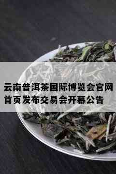 云南普洱茶国际博览会官网首页发布交易会开幕公告