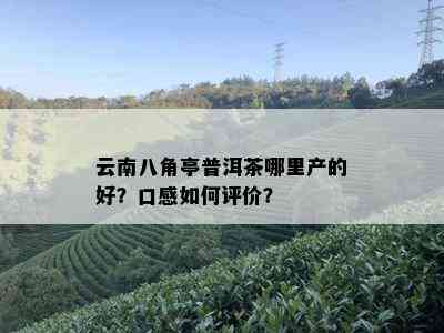 云南八角亭普洱茶哪里产的好？口感如何评价？