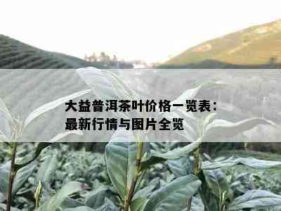 大益普洱茶叶价格一览表：最新行情与图片全览