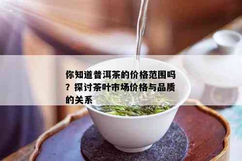 你知道普洱茶的价格范围吗？探讨茶叶市场价格与品质的关系