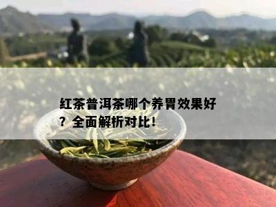 红茶普洱茶哪个养胃效果好？全面解析对比！