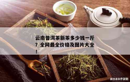 云南普洱茶新茶多少钱一斤？全网最全价格及图片大全！