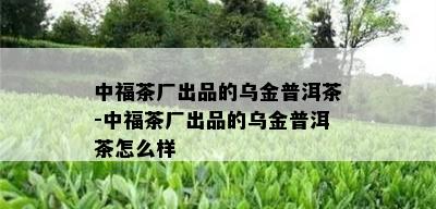 中福茶厂出品的乌金普洱茶-中福茶厂出品的乌金普洱茶怎么样