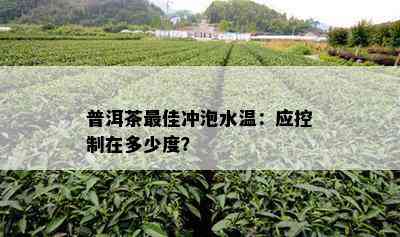 普洱茶更佳冲泡水温：应控制在多少度？