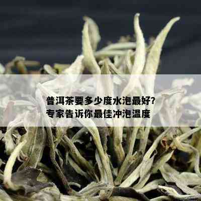 普洱茶要多少度水泡更好？专家告诉你更佳冲泡温度