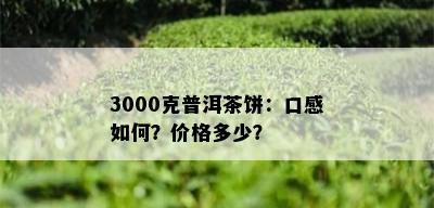 3000克普洱茶饼：口感如何？价格多少？