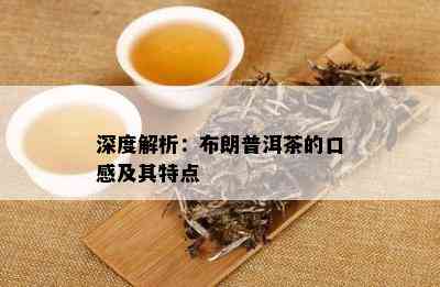 深度解析：布朗普洱茶的口感及其特点