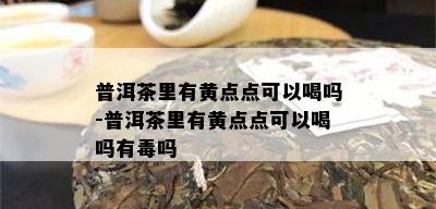 普洱茶里有黄点点可以喝吗-普洱茶里有黄点点可以喝吗有吗