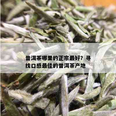 普洱茶哪里的正宗更好？寻找口感更佳的普洱茶产地