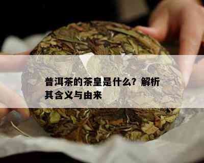 普洱茶的茶皇是什么？解析其含义与由来