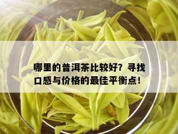 哪里的普洱茶比较好？寻找口感与价格的更佳平衡点！