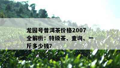 龙园号普洱茶价格2007全解析：特级茶、查询、一斤多少钱？