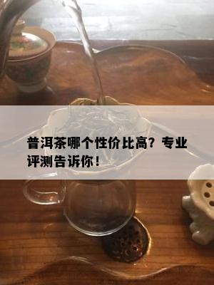 普洱茶哪个性价比高？专业评测告诉你！