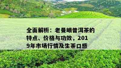 全面解析：老曼峨普洱茶的特点、价格与功效，2019年市场行情及生茶口感